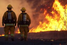Larry Zeitzmann of Washington MO on What Actually Works in Multi-Agency Response